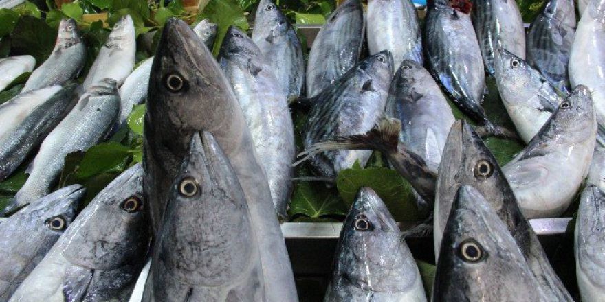 Kurban Balık Fiyatlarını Ucuzlattı