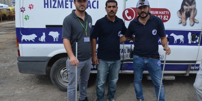 Bu da aksiyon kameralı boğa timi