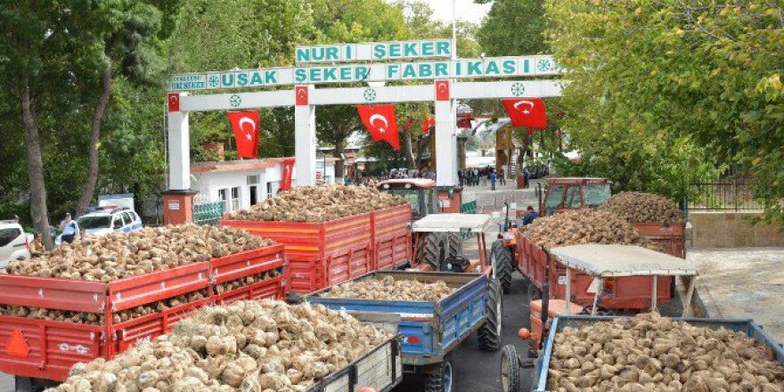 Türkiye’nin İlk Şeker Fabrikası 91. Pancar Alım Kampanyasını Başlattı