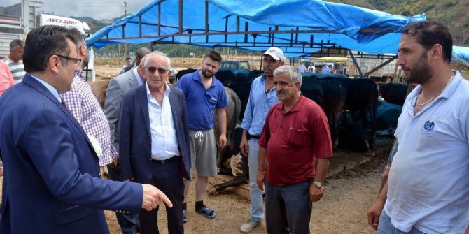 Başkan Genç, Akyazı Kurban Sahası’nda incelemelerde bulundu