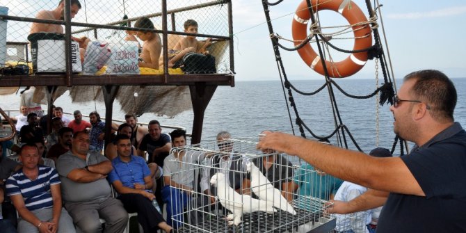 Güvercin sevdası denizlere taştı
