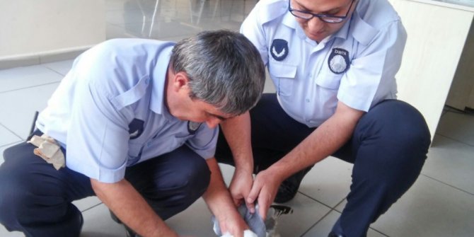 Gagasına olta takılan martıya zabıta şefkati