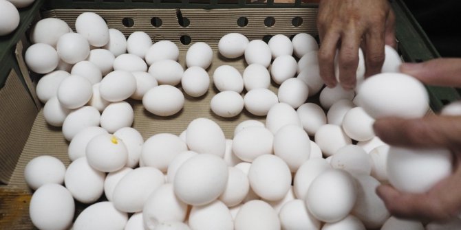 Yumurta krizi Tayvan’a sıçradı