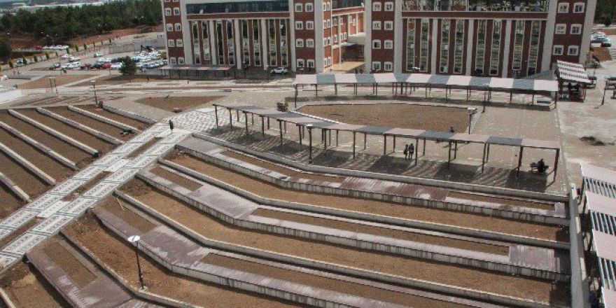 Bilecik Şeyh Edebali Üniversitesinde Ağaç Katliamı