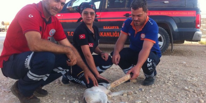 Sakarya ve Sivas UMKE ekiplerinden örnek davranış