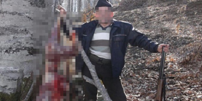 Avladığı karacayı Facebook’ta paylaşan adama 17 bin lira ceza