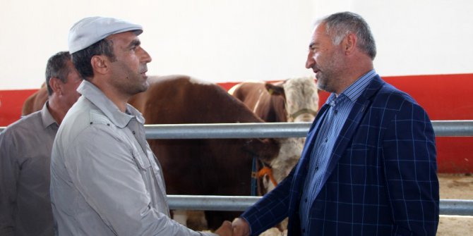 Kurban pazarında kıyasıya kurbanlık pazarlığı