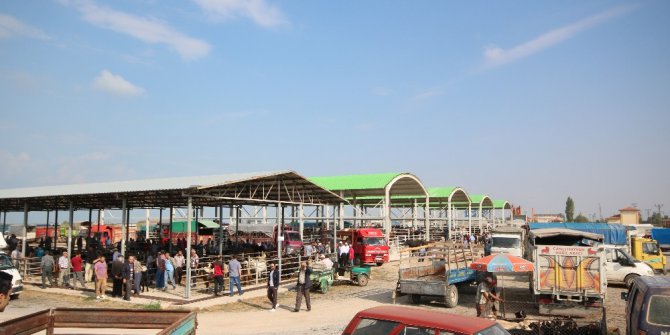 Beyşehir’de hayvan pazarında hazırlıklar tamamlandı
