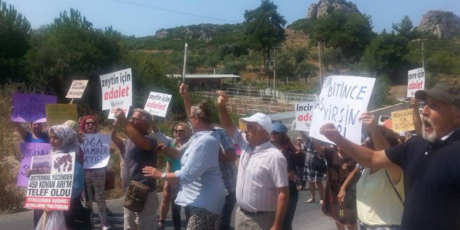 Kuşadası’nda ’jeotermal enerji santralleri’ protestosu