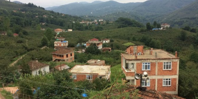 Ordu’da şarbon paniği