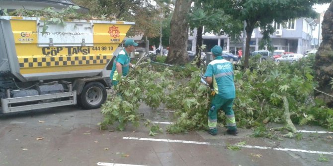 Karesi, fırtınanın yaralarını sarıyor