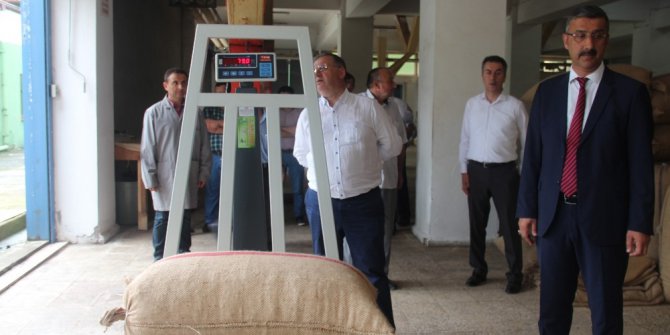 FİSKOBİRLİK iki günde 22 ton fındık aldı.