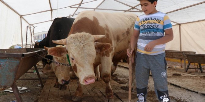 Kurban satıcıları hafta sonunu bekliyor