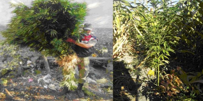 Kahramanmaraş’ta uyuşturucu operasyonu