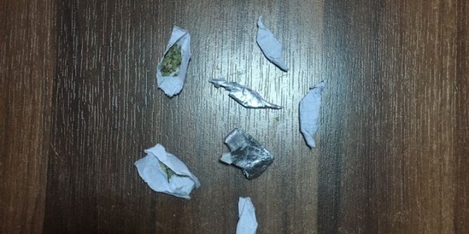 Bonzai satıcısı tutuklandı