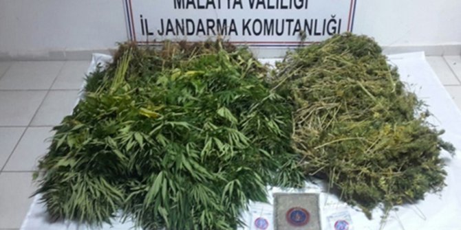 Jandarma kaçakçılara ve uyuşturucu tacirlerine göz açtırmıyor