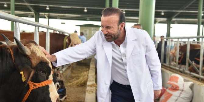 Başkan Doğan hayvan pazarında incelemelerde bulundu