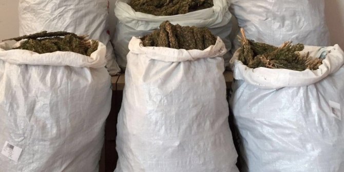 Bingöl’de uyuşturucu operasyonu