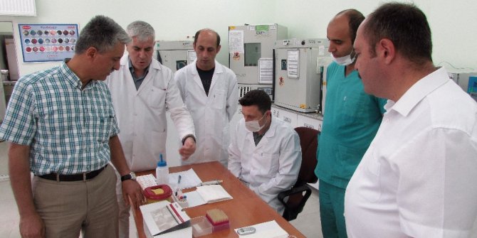 Hayvanlara kan ve süt örneklerinden gebelik testi