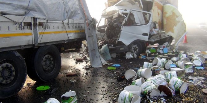 Zeytin kamyonu park halindeki tıra çarptı: 1 ölü
