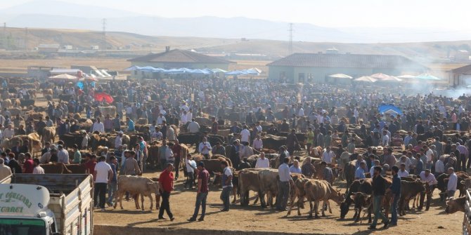 Ağrı’da hayvan pazarında hareketlilik arttı