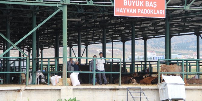 Kurbanlık hayvanların az olması endişelendiriyor