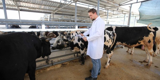 Karşıyaka, Kurban Bayramına hazır