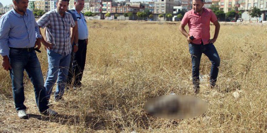 Gaziantep’te Çürümüş Erkek Cesedi Bulundu