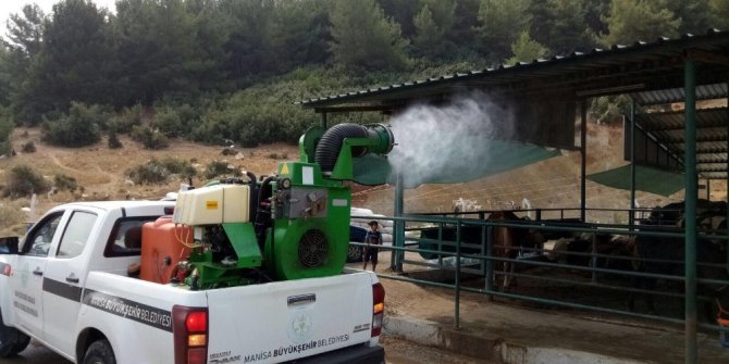 Manisa’da kurban alıcısı da satıcısı da rahat edecek