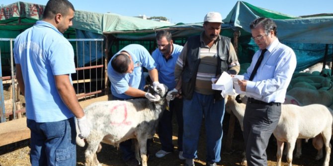 Yüreğir’de kurban kesim ve satış noktaları belirlendi