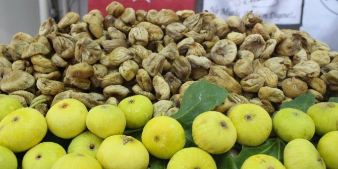 Kuru incir rekolte tahmini açıklandı