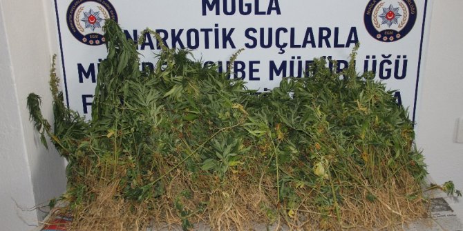 Seydikemerde uyuşturucu operasyonu