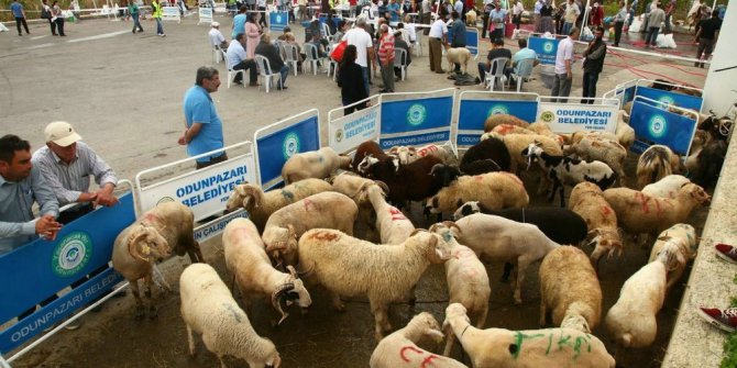 Odunpazarı’nda Kurban Bayramı hizmetleri ücretsiz