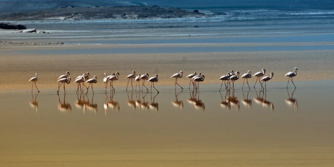 Tuz Gölü’nün ekolojisi korunuyor