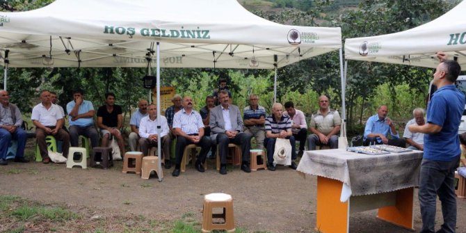 Fındıkta kalite ve verimin artırılmasına yönelik proje