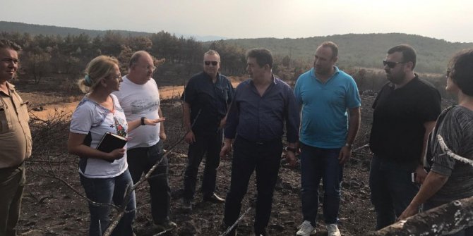 AK Parti milletvekili yanan alanda incelemelerde bulundu