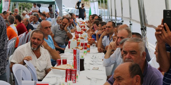 Fındıkta verimi arttırmak için toplandılar