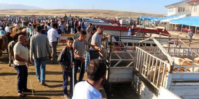 Hayvan pazarında alıcı da satıcı da memnun değil