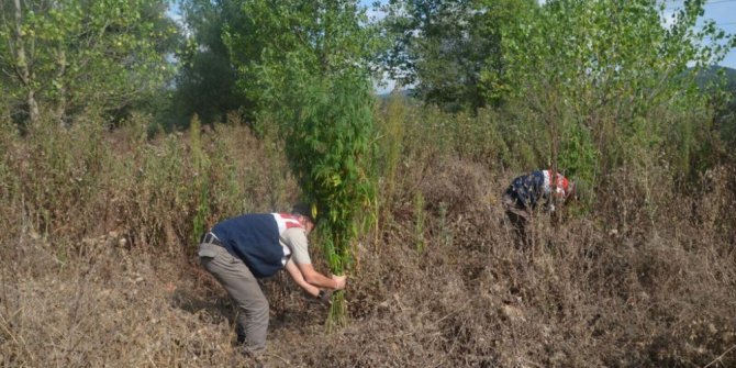 Jandarmadan uyuşturucu tacirlerine 265 bin liralık vurgun