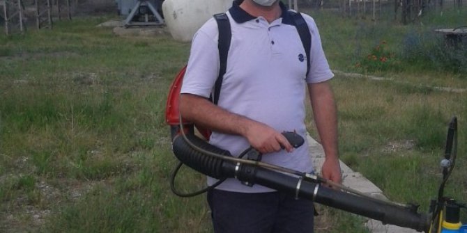 Önlem alınmadığı takdirde sayıları yüzleri buluyor