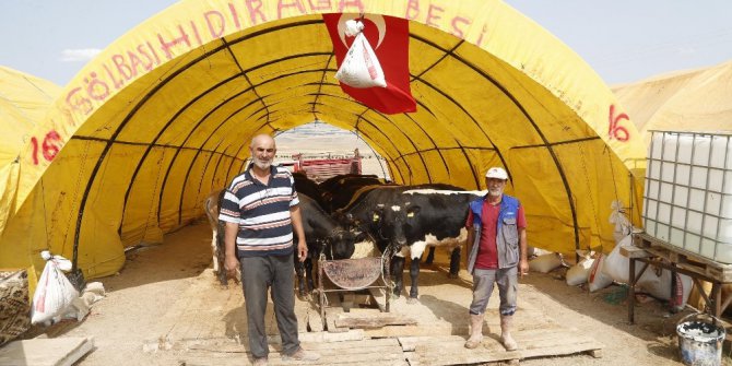 Gölbaşı Belediyesi Kurban Bayramı’na hazır