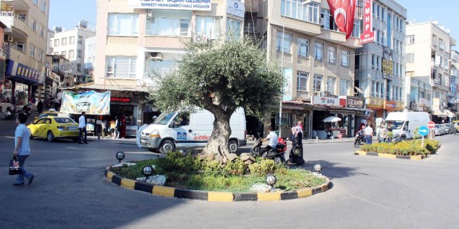 Fırat Kalkanı Harekatı’nın yıldönümü
