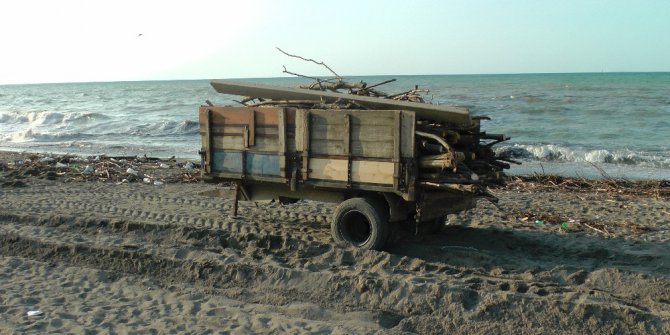 Kışlık odunlar kumsaldan