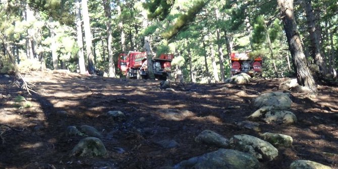 Kazdağlarında yıldırım orman yaktı