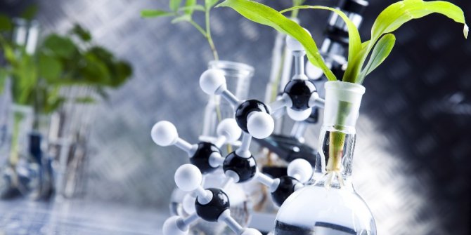 “Bitkisel ekstraktlar yaşam kalitesini yükseltmeye yardımcı oluyor”