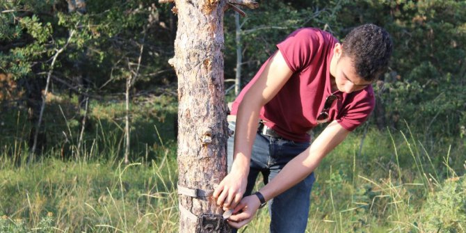 Başkent’in yanı başındaki vahşi hayat foto kapanında