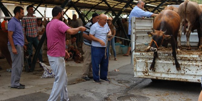 Kurbanda kurallara uymayanlara ceza yağacak