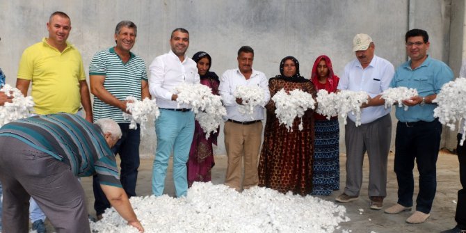 ANTBİRLİK’te sezonun ilk pamuğu alındı