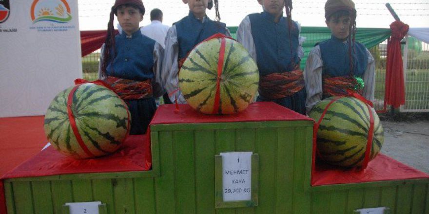 Diyarbakır Kültür Ve Karpuz Tanıtım Festivali Düzenlendi