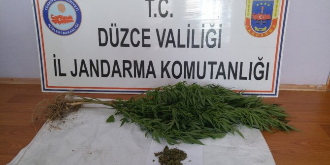 Düzce’de jandarmadan uyuşturucu operasyonu